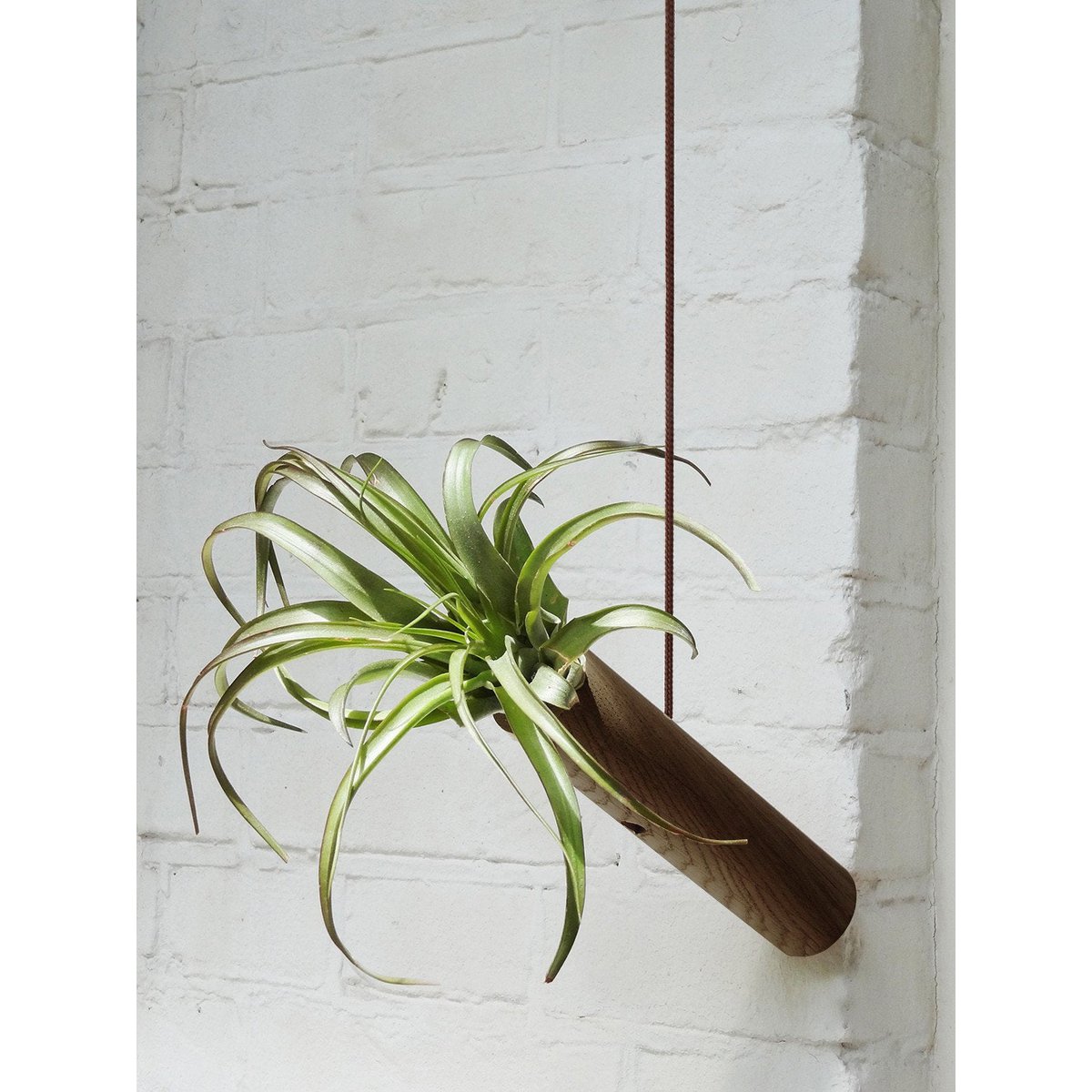 Hanging cylinder - Dark oak