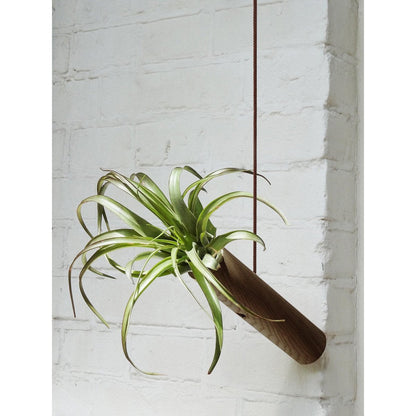 Hanging cylinder - Dark oak