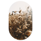 Wall oval tufts