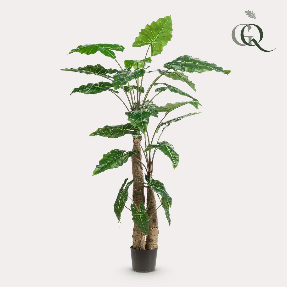 Kunstplant Alocasia 180 cm