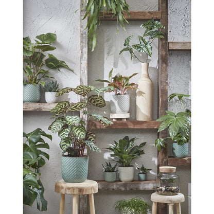 Flowerpot indoor Daan White