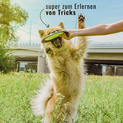 NE & NO® Dog-having-beat / Wide-flying dog toy