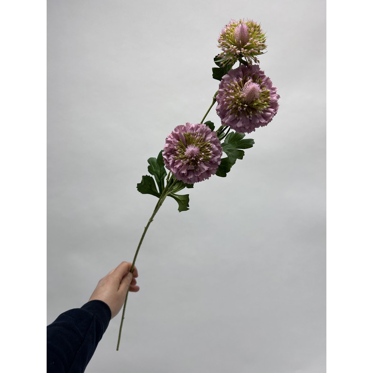 Scabiosa | Silk Artificial Flower | Length 80cm2pcs purple