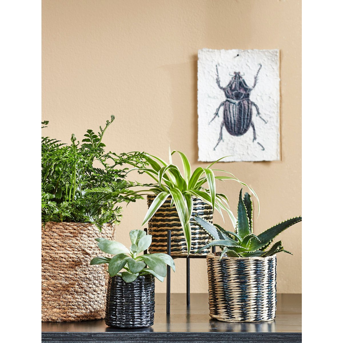 Plantenmand set zeegras lichtbruin 3 stuks