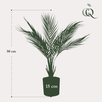 Kunstplant Bergpalm 50 cm