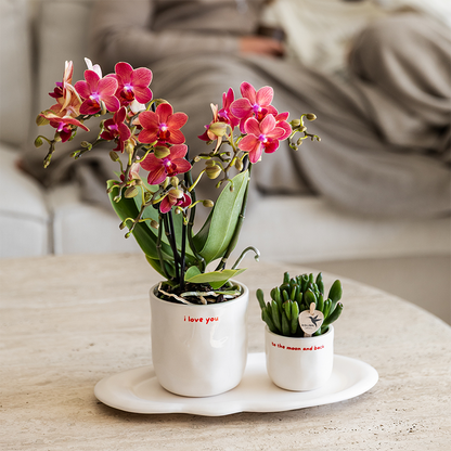Sierpot keramiek 6x7 cm wit