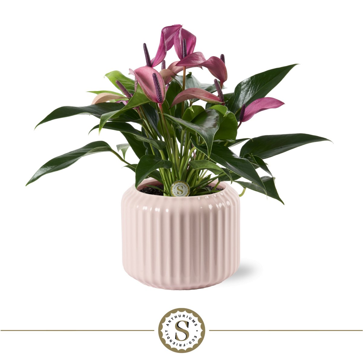 Sierpot keramiek 16 cm pastel pink ribpatroon