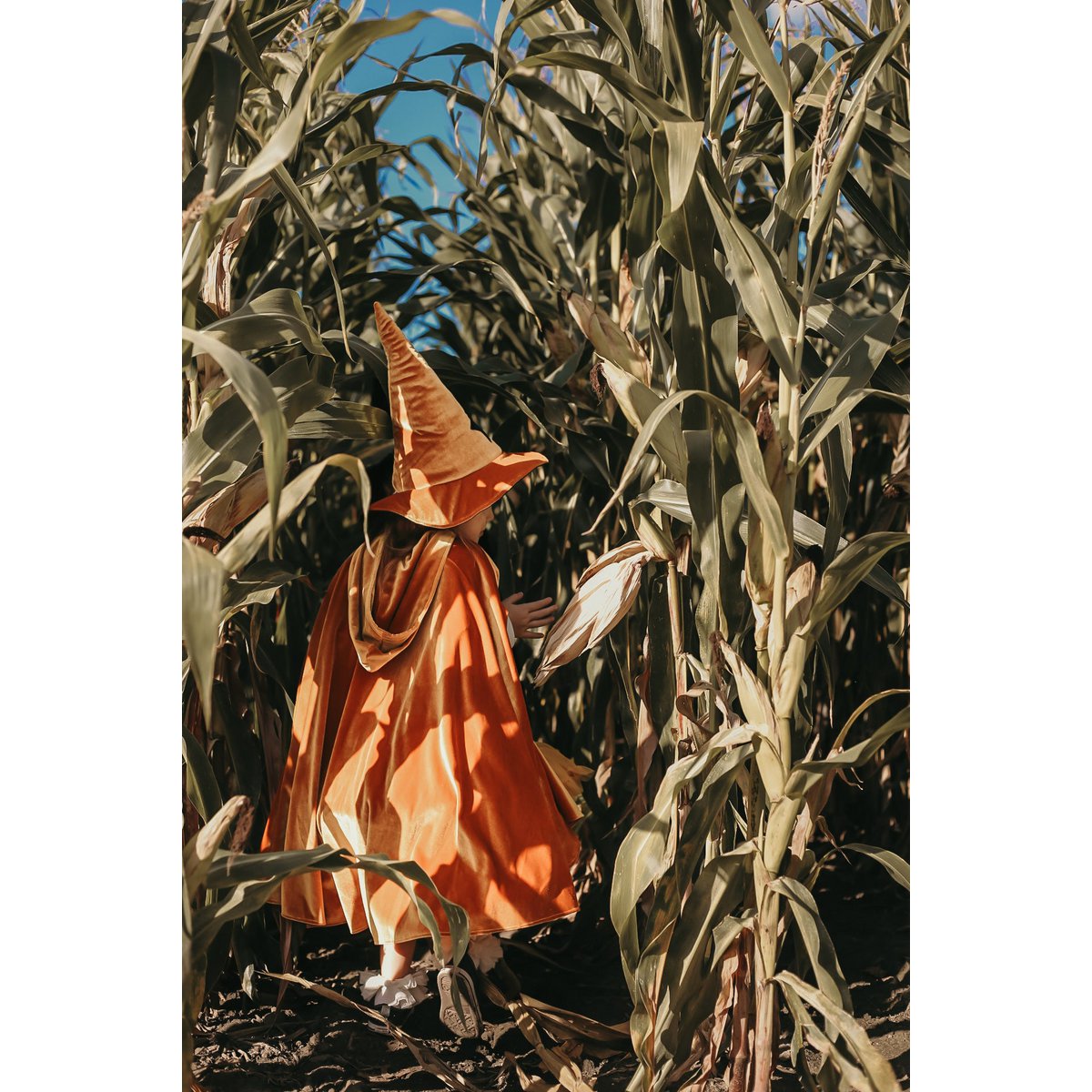 Witch Hat 'Golden Magic'