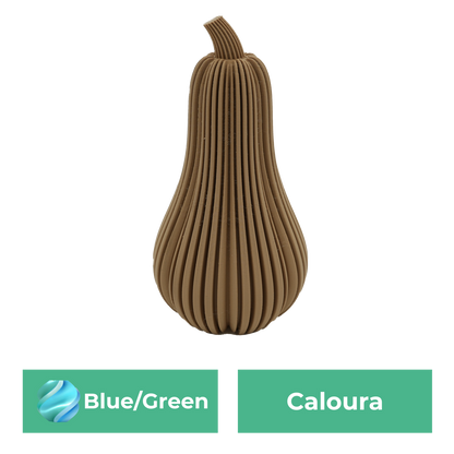 Caloura Pumpkin