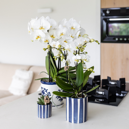 Sierpot keramiek Ø6 cm blauw streep