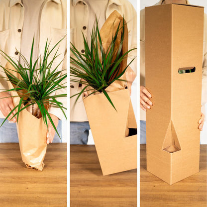 Tuinkruiden Mix - 1 stuk - Ø14cm - ↕18cm