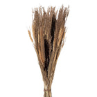 Droogboeket 60 cm beige