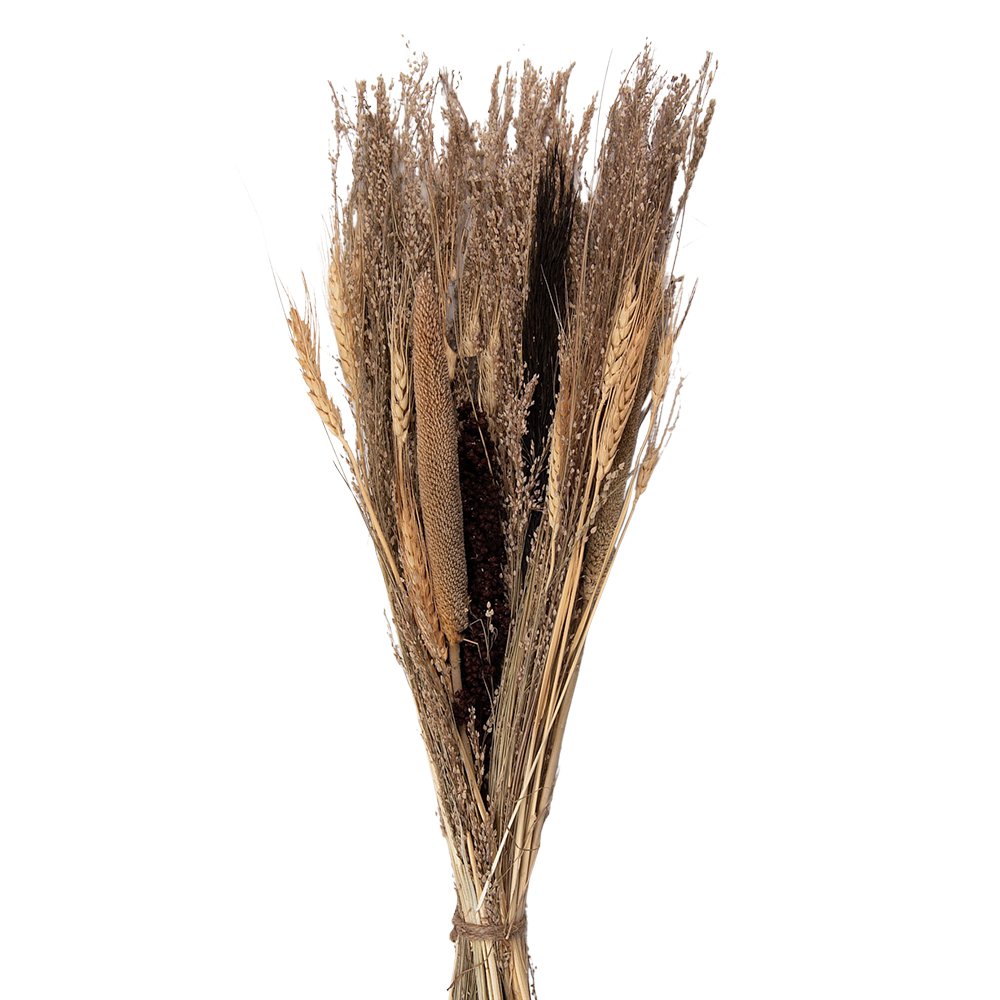 Droogboeket 60 cm beige
