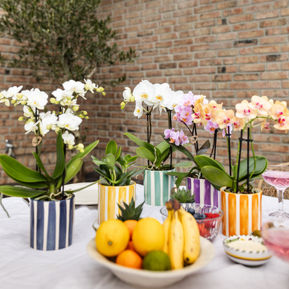 Sierpot keramiek oranje streep Ø9 cm