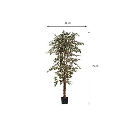 Kunstplant Ficus Groen