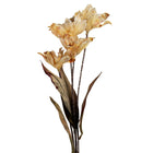 Artificial Flower 8x5x60 cm Beige Plastic