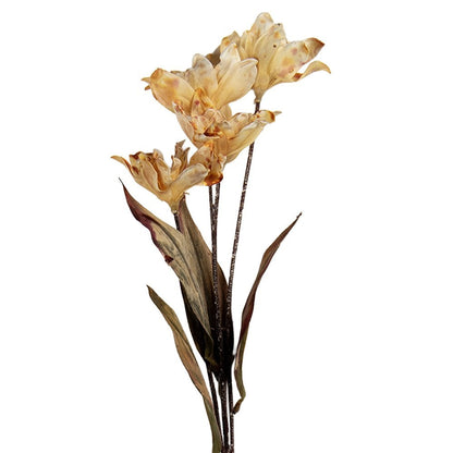 Artificial Flower 8x5x60 cm Beige Plastic
