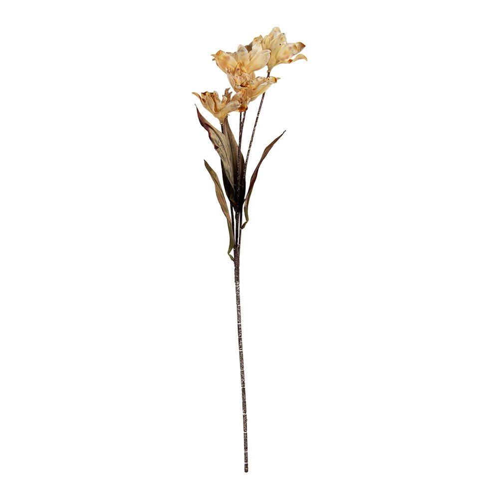 Artificial Flower 8x5x60 cm Beige Plastic