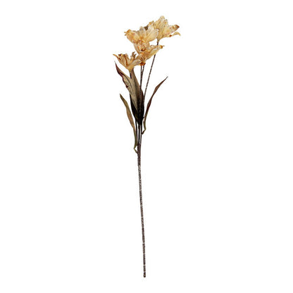 Artificial Flower 8x5x60 cm Beige Plastic