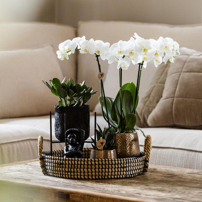 Dienblad rond 30 cm zwart crème