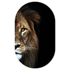 Muurovaal lion 40x25 cm Dibond