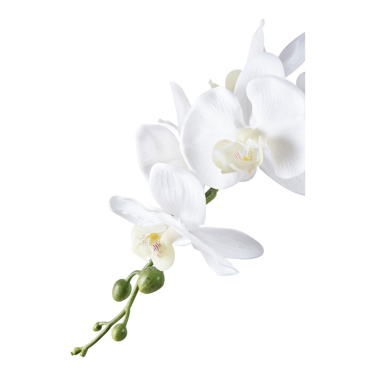 Kunstplant orchidee groen wit 49 cm