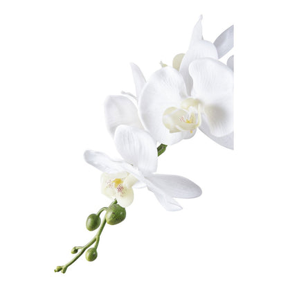Kunstplant orchidee groen wit 49 cm