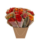 Droogbloemen mono mix oranje 50 cm