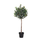 Olive Tree Green Plastic Polyester 120 cm High Decorative