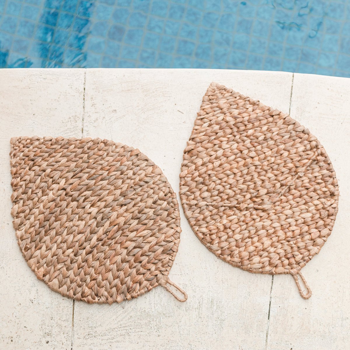 Placemat bladvormig waterhyacint 48x36 cm