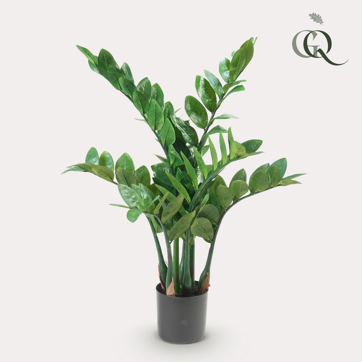 Kunstplant Zamioculcas 70 cm