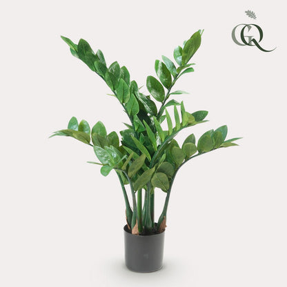 Kunstplant Zamioculcas 70 cm