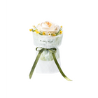 Robotime 3D puzzel White Camellia 13x13x18 cm kunststof