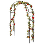 Progarden Rose Arch 140X36X240Cm