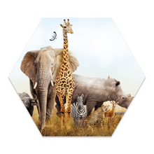 Wall hexagon kids safari