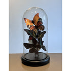 Five Butterflies 11 * 32.5cm (YF-09)