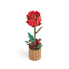 Houten bloem modelbouw roos 80 stukjes