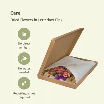 Dried flowers in a mailbox multi - pink