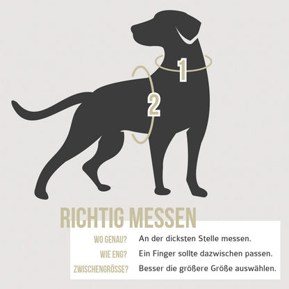 ne&no® Dog Harness with Matching Shock Absorber [DEVELOPED by NE&NO]