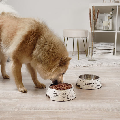 Honden voerbak set 2x RVS melamine wit goud