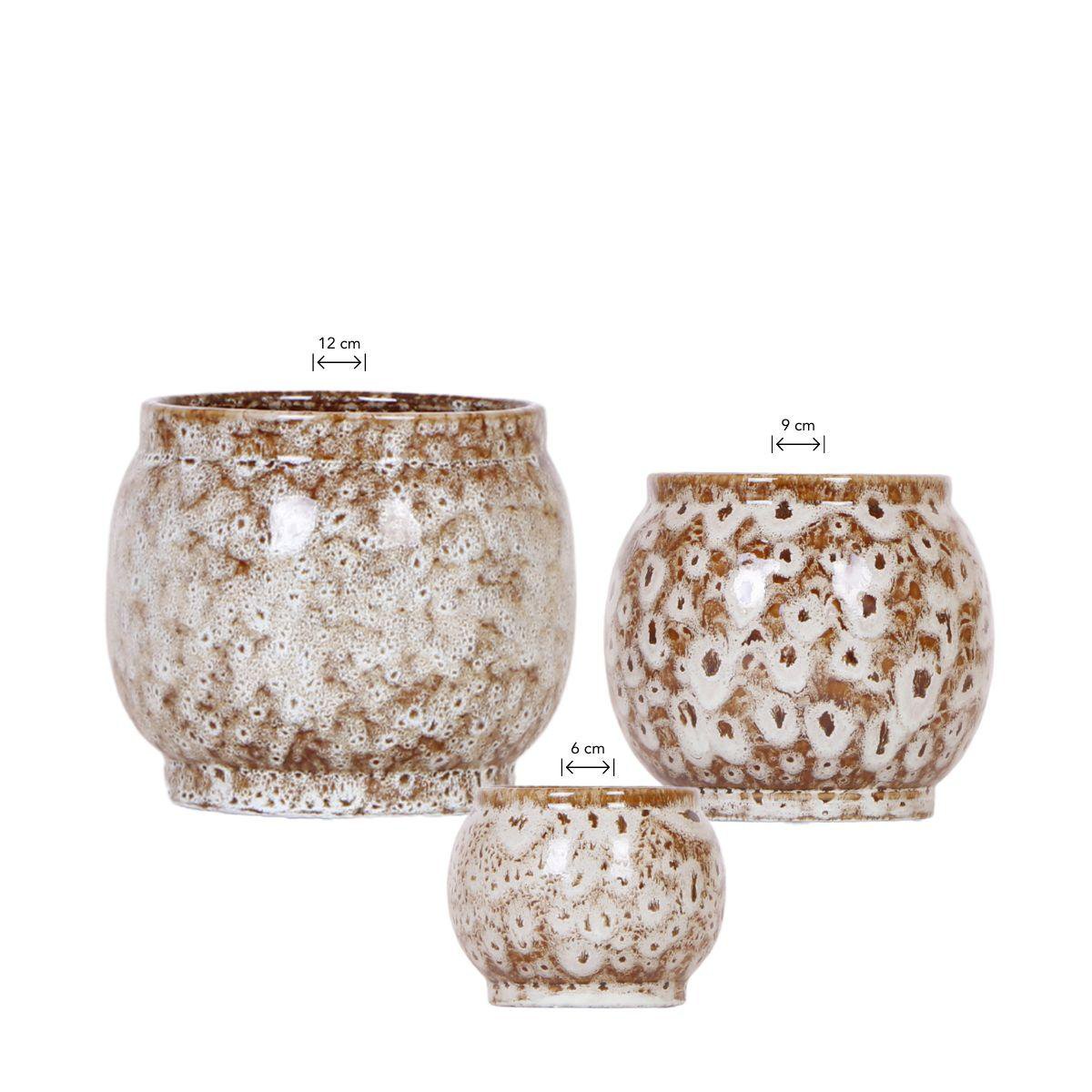 Set of 3 Safari Decorative Pots for Plants 6, 9 and 12 cm