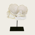 Coral flower
