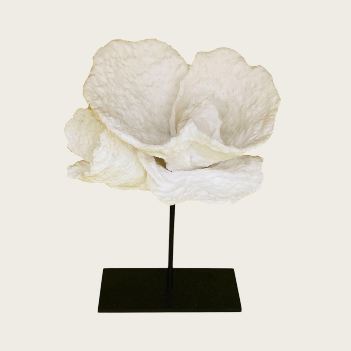 Koraaldecoratie polyresin 25x25x30 cm