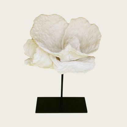 Koraaldecoratie polyresin 25x25x30 cm