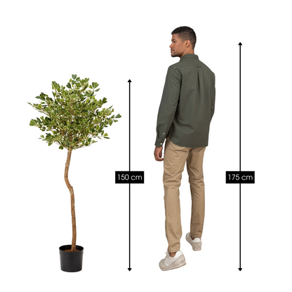 Kunstplant Ficus Triangularis 150 cm groen