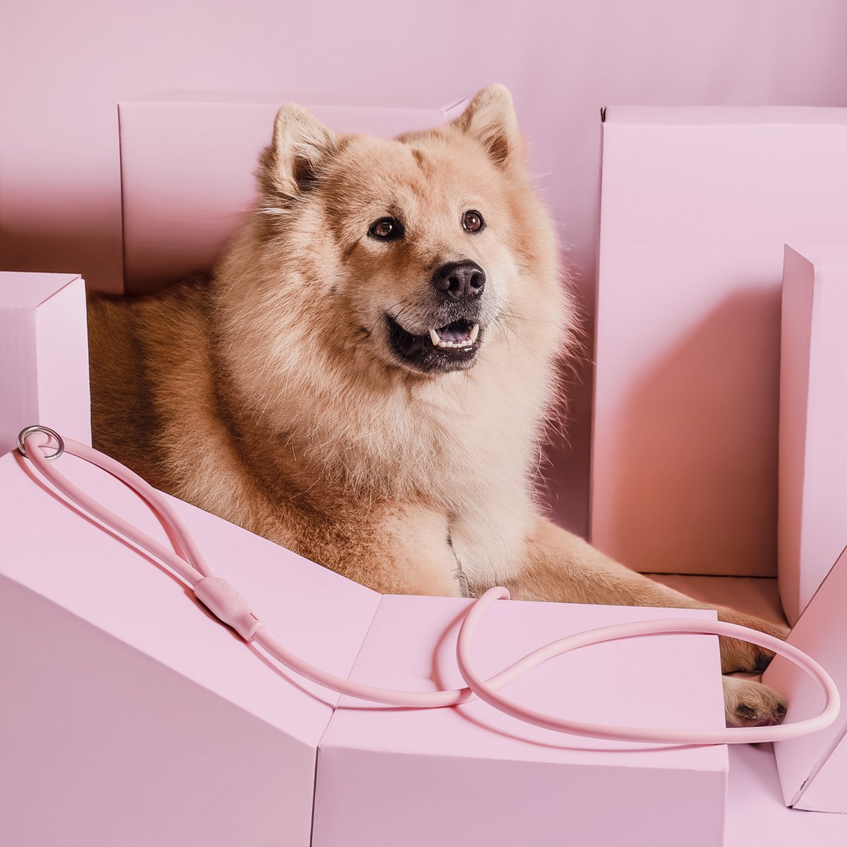 NE & No® Dog Leash "Loft Style" - Weatherproof