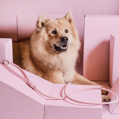 NE & No® Dog Leash "Loft Style" - Weatherproof