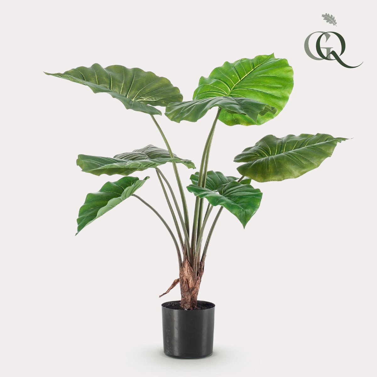 Kunstplant Alocasia 70 cm groen