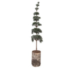 Mini Artificial Christmas Tree 15x15x80 cm Green Wood