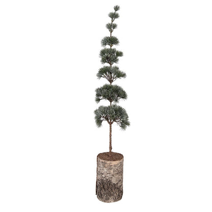 Mini Kunstkerstboom 15x15x80 cm Groen Hout